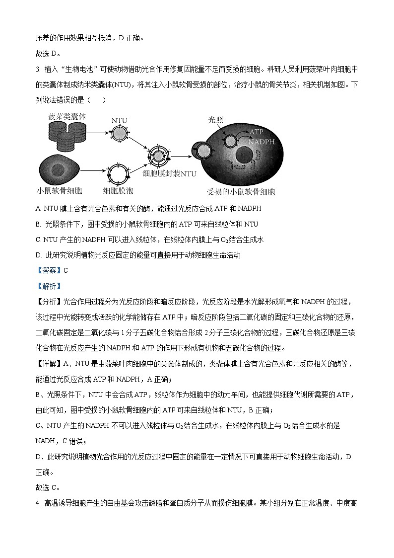 195，江苏省徐州市二中2023—2024学年高三上学期期末检测生物试题第3页