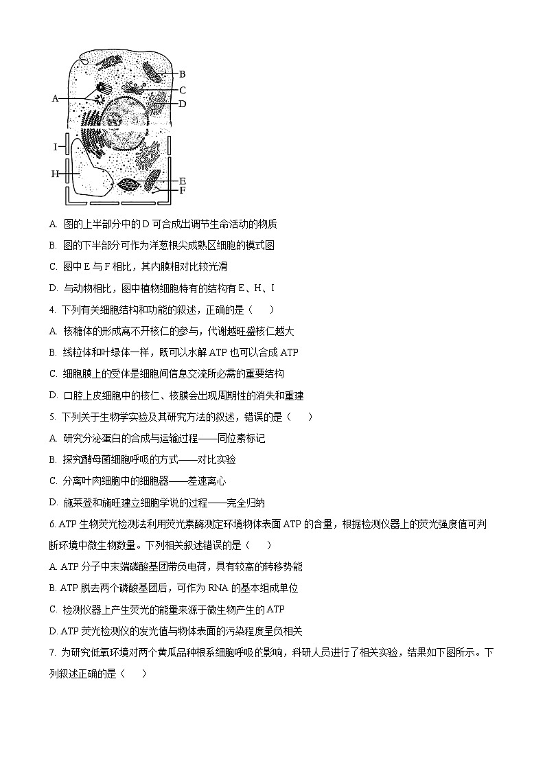 2024常州高一上学期期末考试生物含解析02