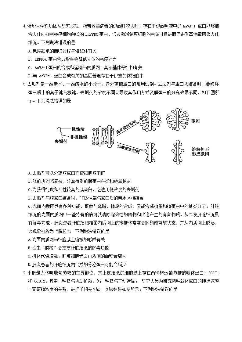 2024德州高一上学期期末考试生物含答案02