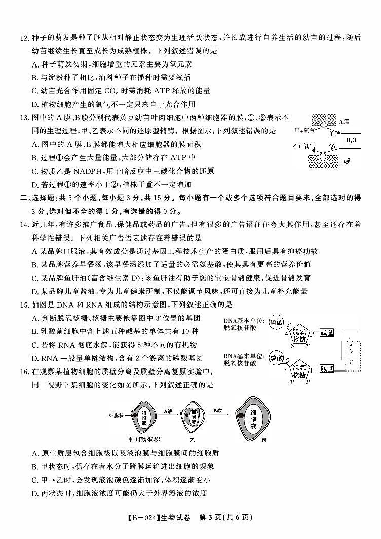 安徽省皖江2023_2024高三生物上学期10月阶段考试试题03