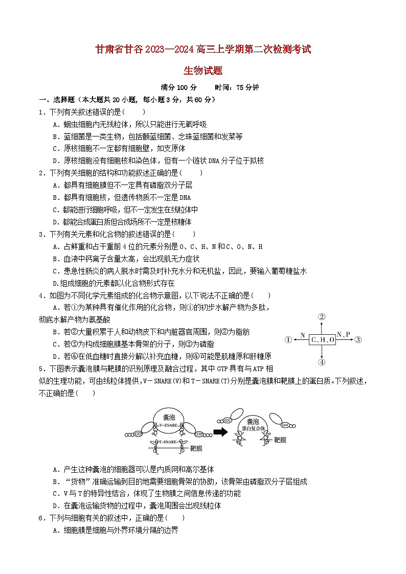 甘肃省天水市甘谷县2023_2024高三生物上学期10月月考试题01
