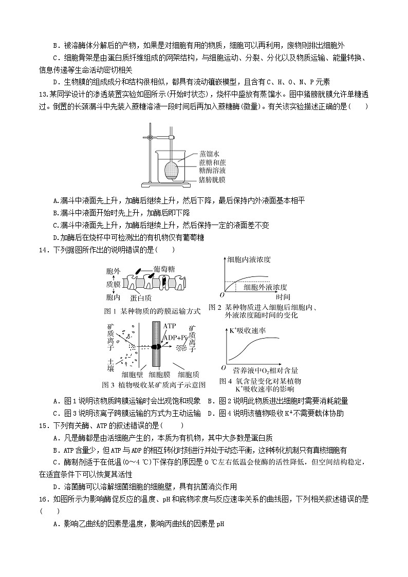 甘肃省天水市甘谷县2023_2024高三生物上学期10月月考试题03