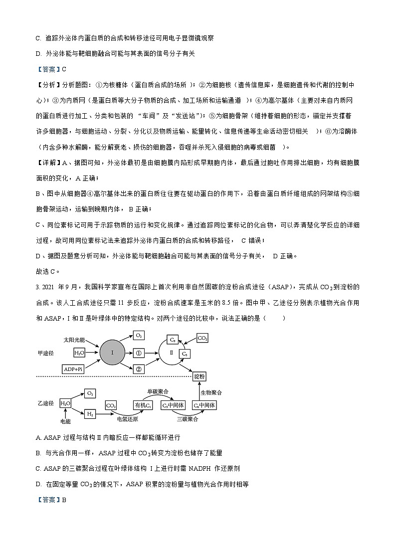 河北省张家口2023_2024高三生物上学期11月月考试题第2页