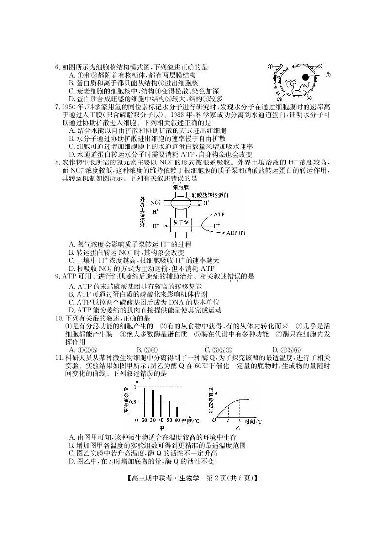 黑龙江省龙东2023_2024高三生物上学期期中五地联考试题02