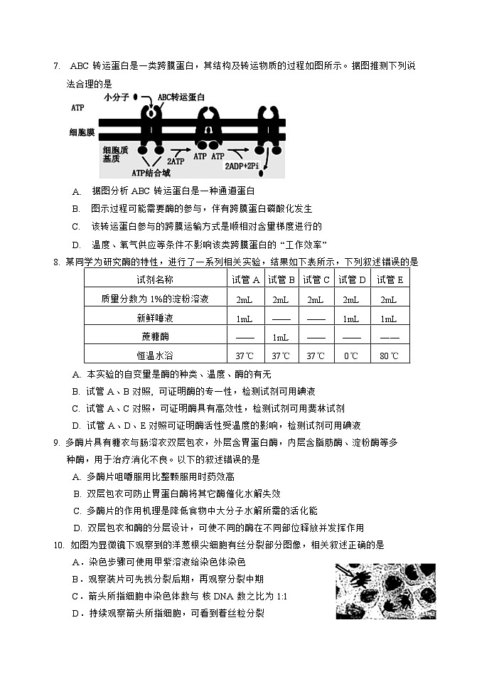 吉林省吉林市2023_2024高三生物上学期第一次模拟考试试题第3页