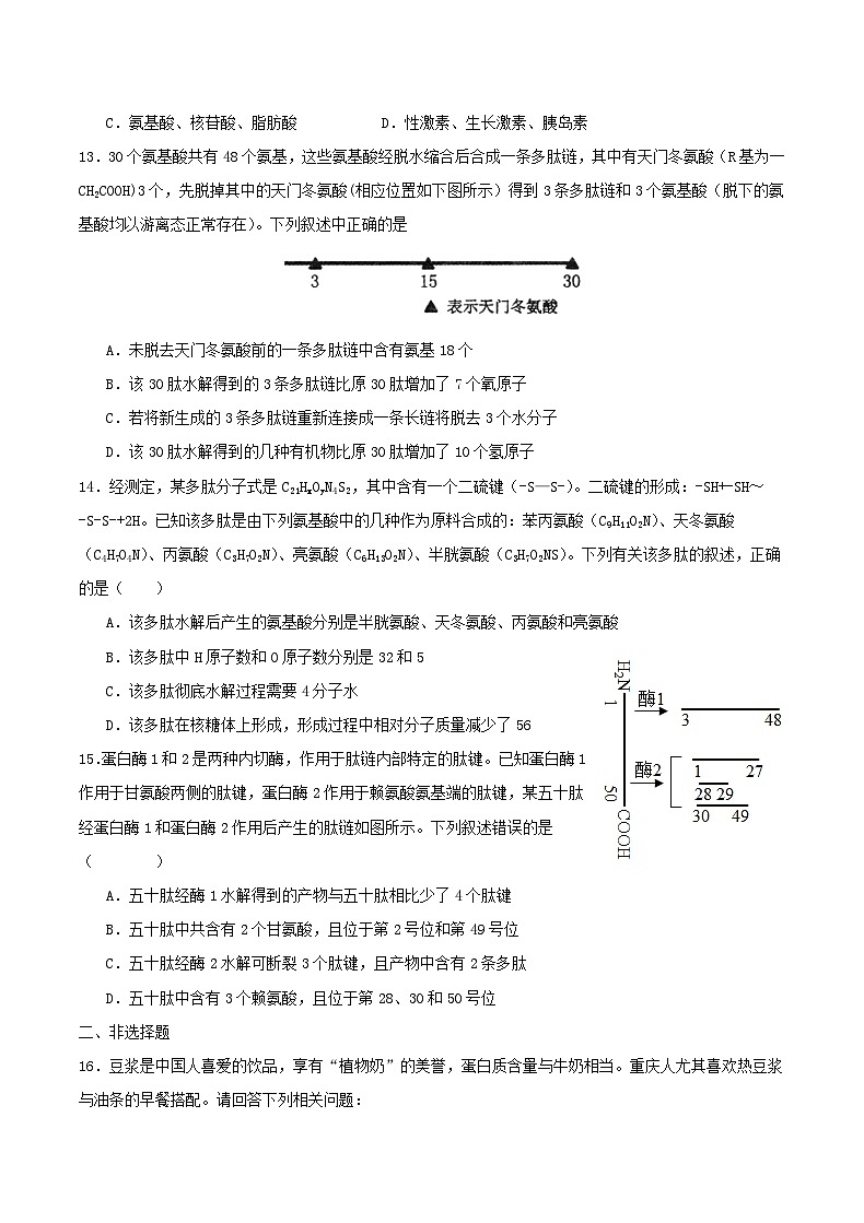 重庆市缙云教育联盟2023_2024学年高一生物上学期9月月考试题03