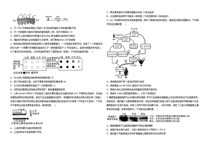 江苏省常州市天宁区常州一中2023-2024学年高三上学期阶段检测生物试题第2页
