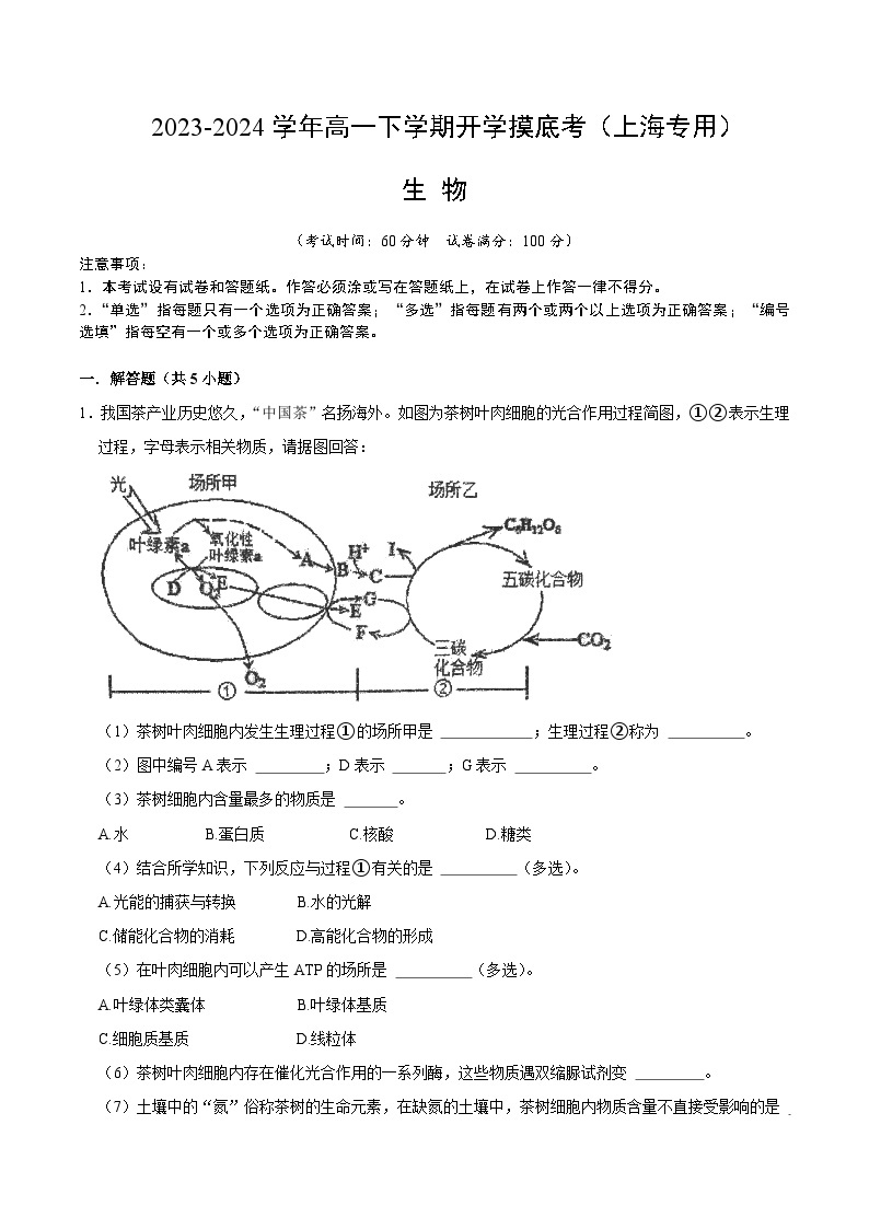 【开学摸底考】高一生物（上海专用）-2023-2024学年高中下学期开学摸底考试卷.zip01