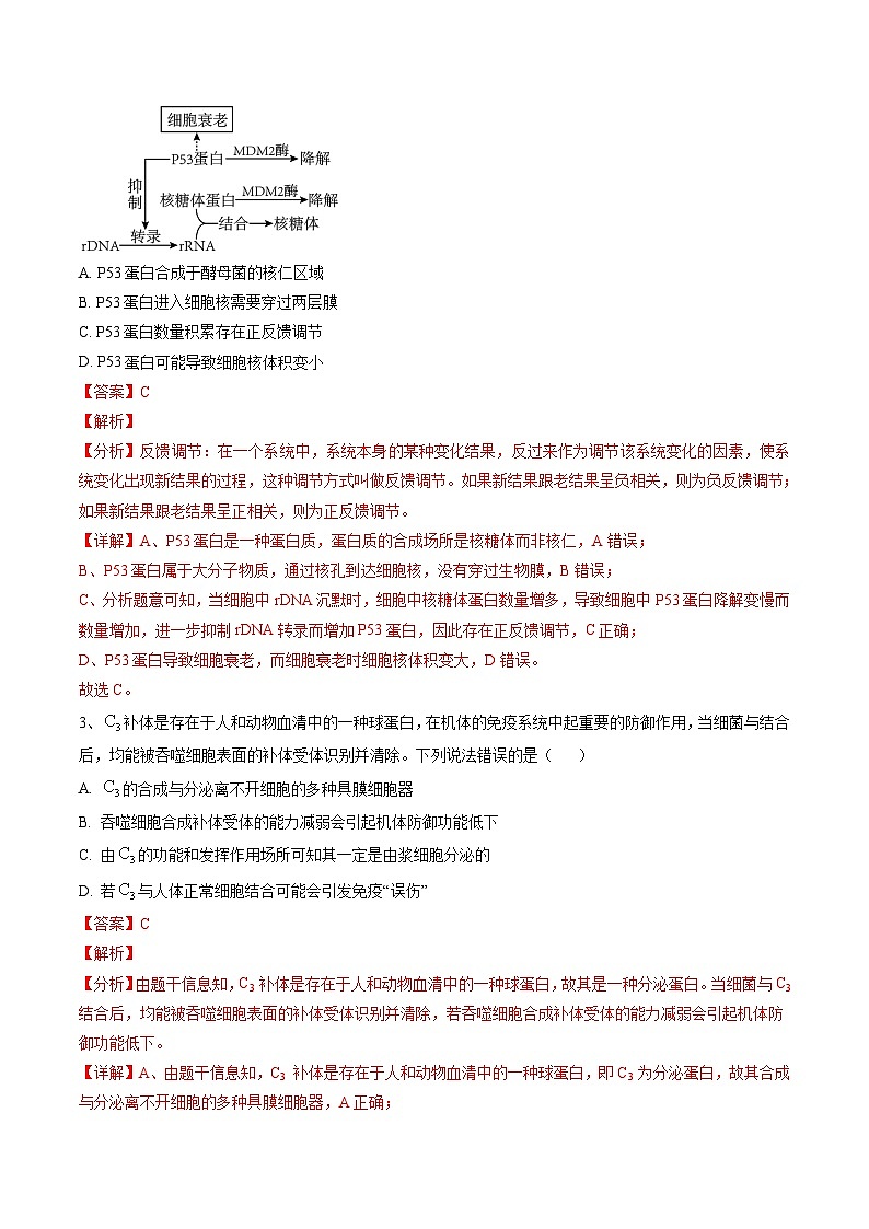 高三生物开学摸底考01（全国卷）（解析版）第2页