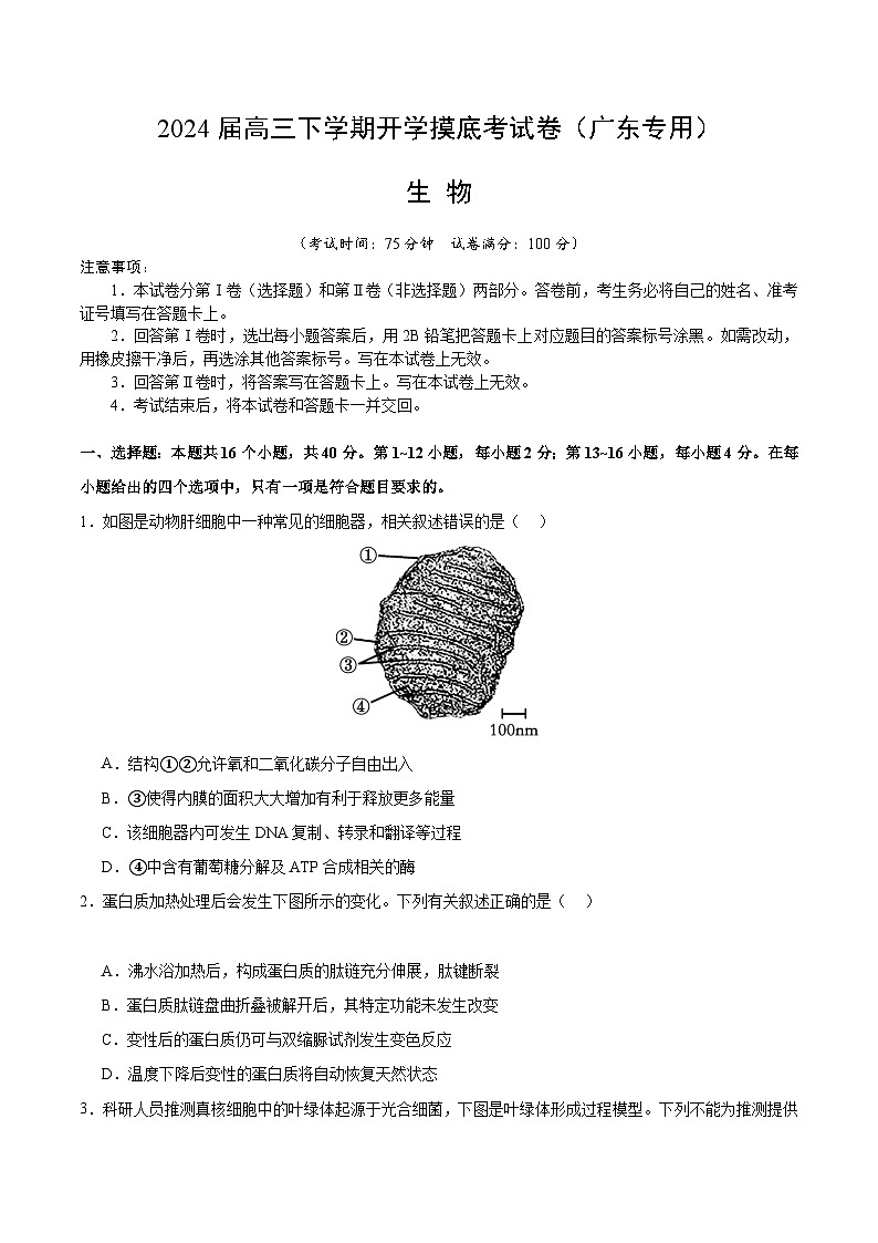 高三生物开学摸底考（广东专用）（考试版）第1页