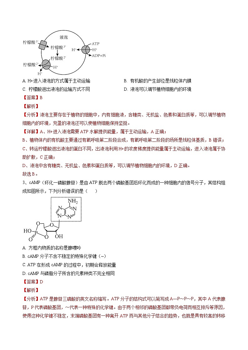 高三生物开学摸底考（贵州、安徽、甘肃适用，16+5题型）（解析版）第2页