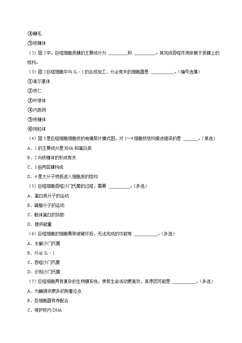 高二生物开学摸底考（上海专用）（考试版）第2页