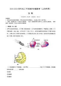 【开学摸底考】高二生物（上海专用）-2023-2024学年高中下学期开学摸底考试卷.zip