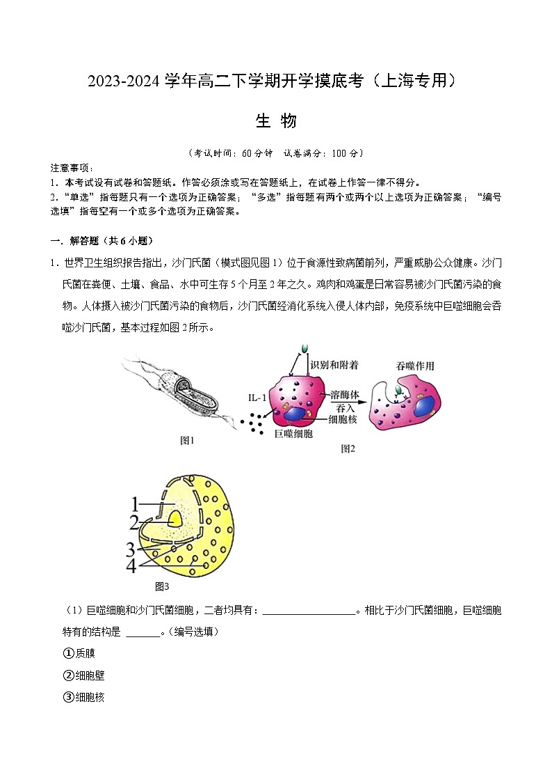 高二生物开学摸底考（上海专用）（解析版）第1页