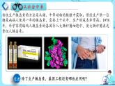 人教版）（2019）高中生物学  选择性必修三  生物技术与工程  3.3基因工程的应用（1课时）课件