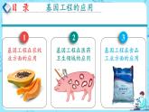 人教版）（2019）高中生物学  选择性必修三  生物技术与工程  3.3基因工程的应用（1课时）课件
