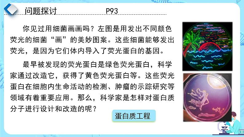 人教版）（2019）高中生物学  选择性必修三  生物技术与工程  3.4蛋白质工程的原理和应用（1课时）课件04