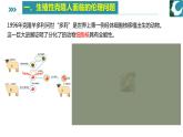 人教版）（2019）高中生物学  选择性必修三  生物技术与工程  4.1转基因产品的安全性( 1课时）课件