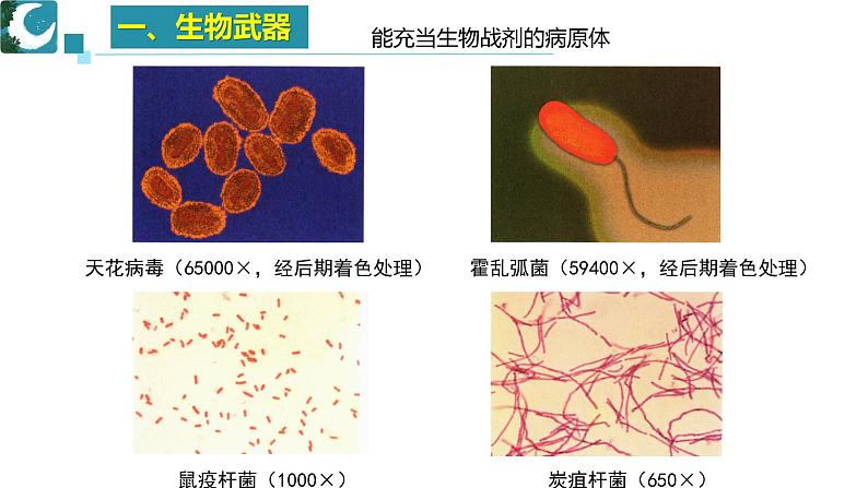 人教版）（2019）高中生物学  选择性必修三  生物技术与工程  4.3禁止生物武器( 1课时）课件06