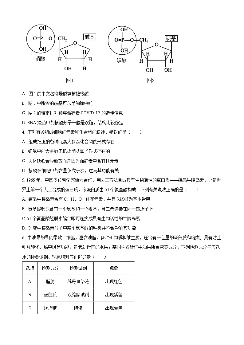 2024晋中高一上学期期末考试生物含解析02