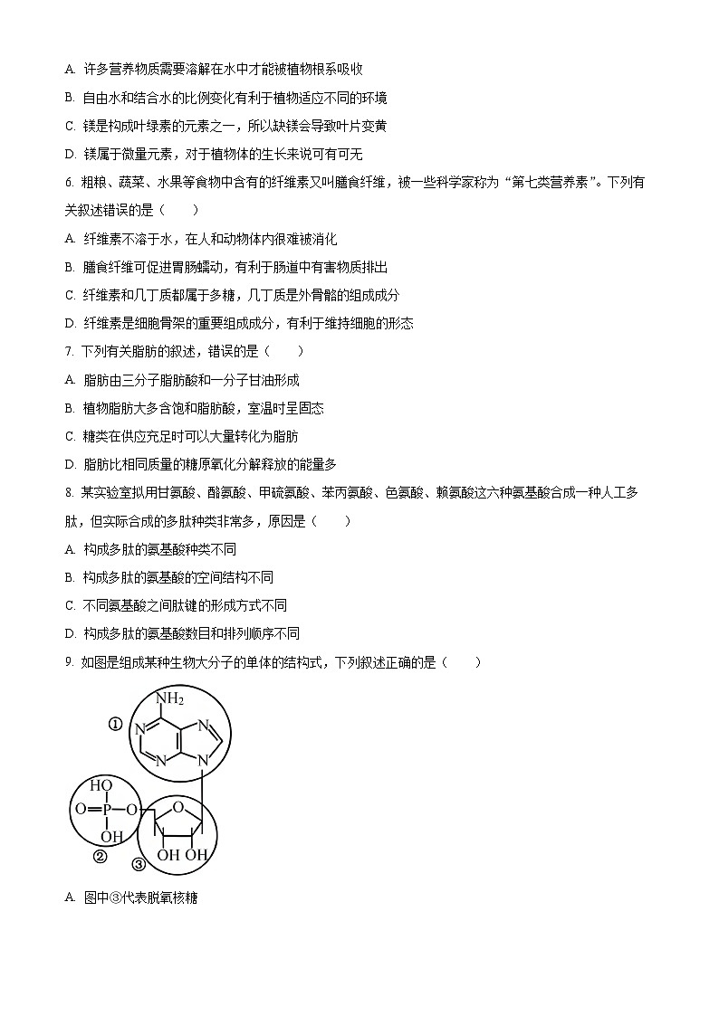 2024南充高一上学期期末考试生物含解析02