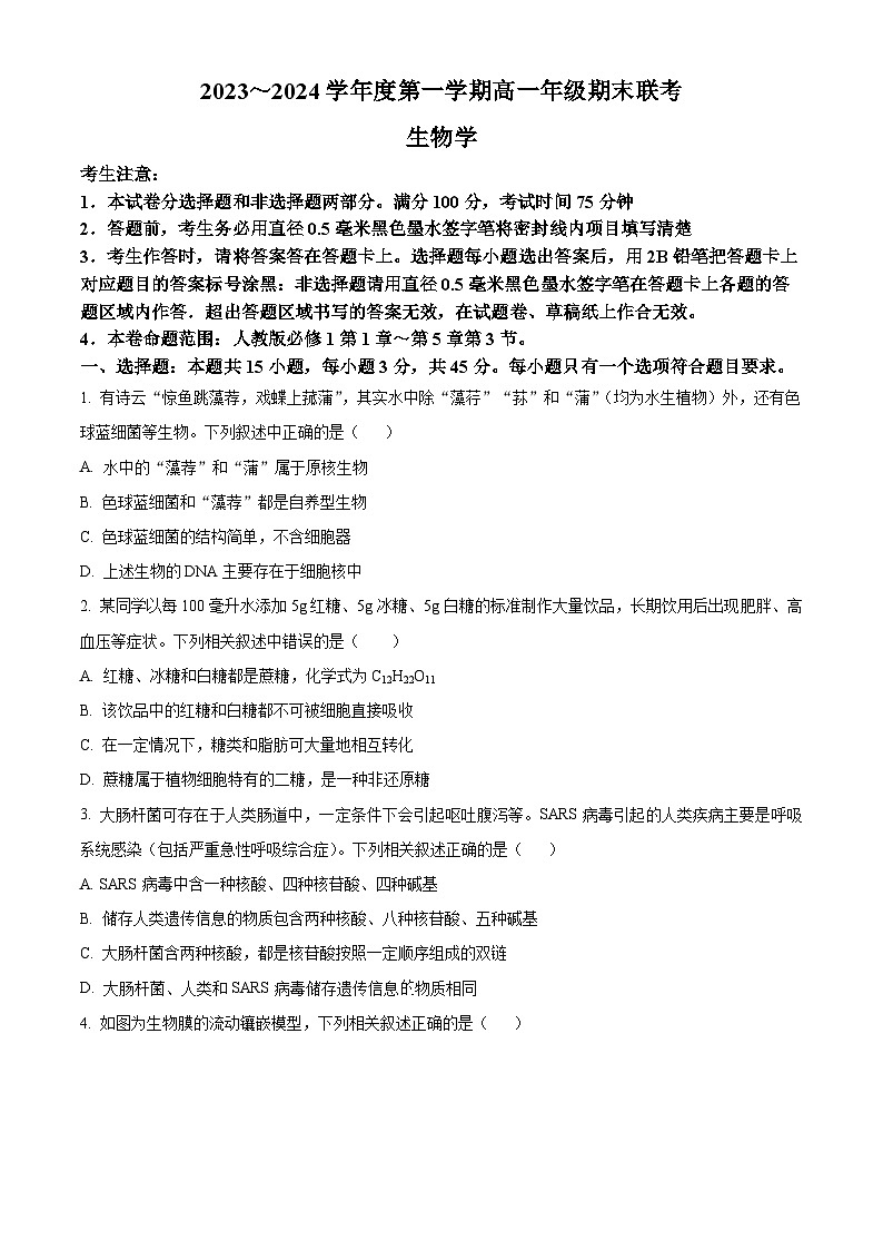 2024安徽省皖北六校高一上学期期末联考试题生物含解析01