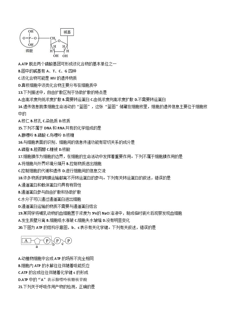 31，吉林省延边州2023-2024学年高一上学期期末学业质量检测生物试题第3页