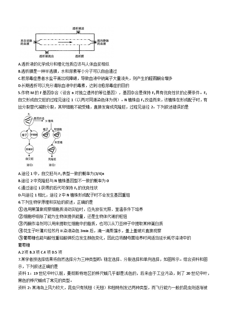 32，黑龙江省哈尔滨市九中2023-2024学年高三下学期开学考试生物试题()02