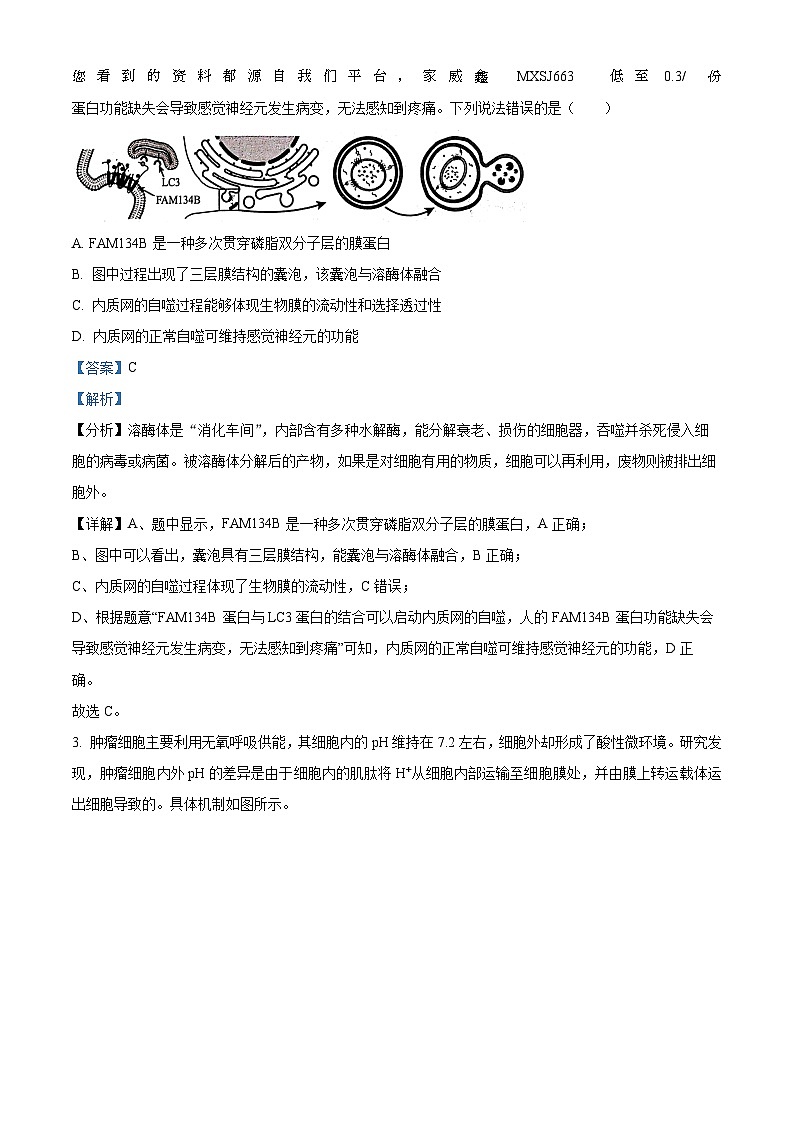 41，名校联盟全国优质校2023-2024学年高三下学期开学大联考生物试题第2页