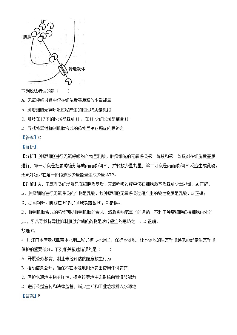 41，名校联盟全国优质校2023-2024学年高三下学期开学大联考生物试题第3页