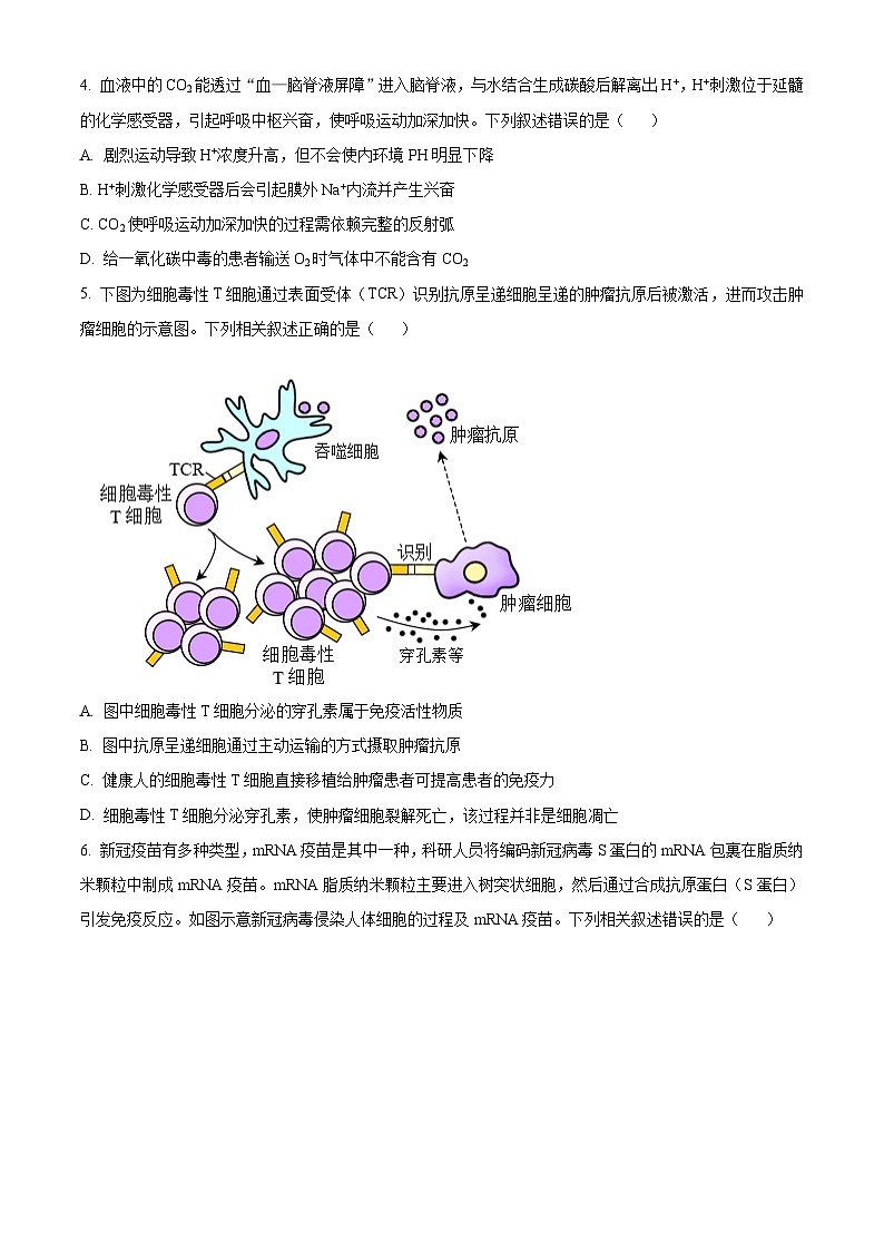 天津市部分区2023-2024学年高二上学期期末考试生物试卷（Word版附解析）第2页