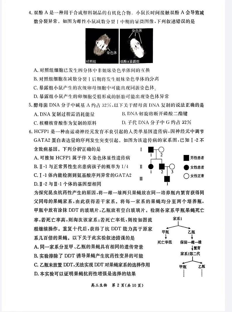 北京市东城区2023-2024学年高三上学期期末考试生物试题（PDF版附答案）02