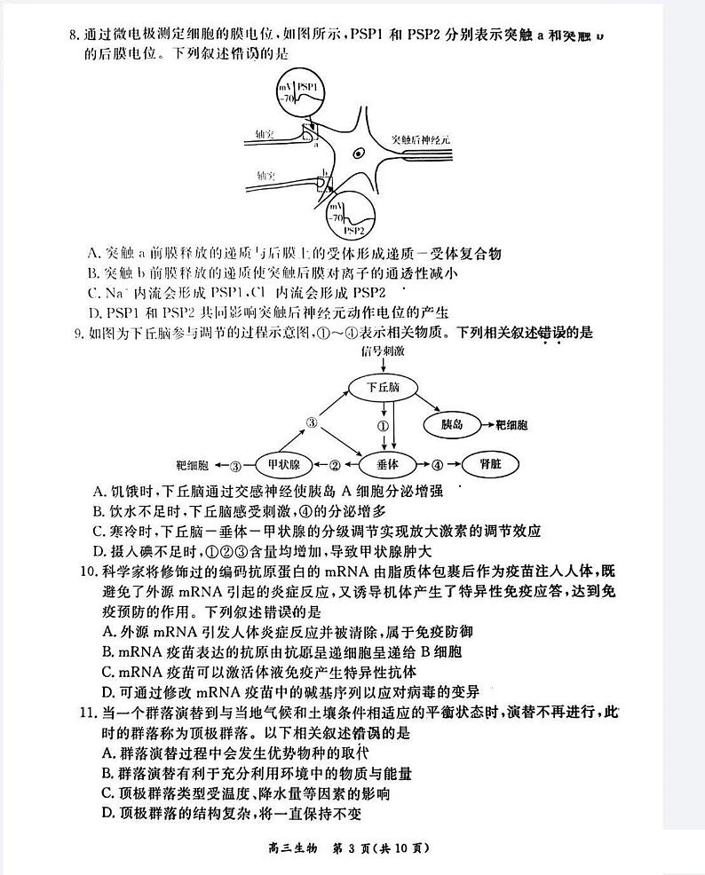 北京市东城区2023-2024学年高三上学期期末考试生物试题（PDF版附答案）03