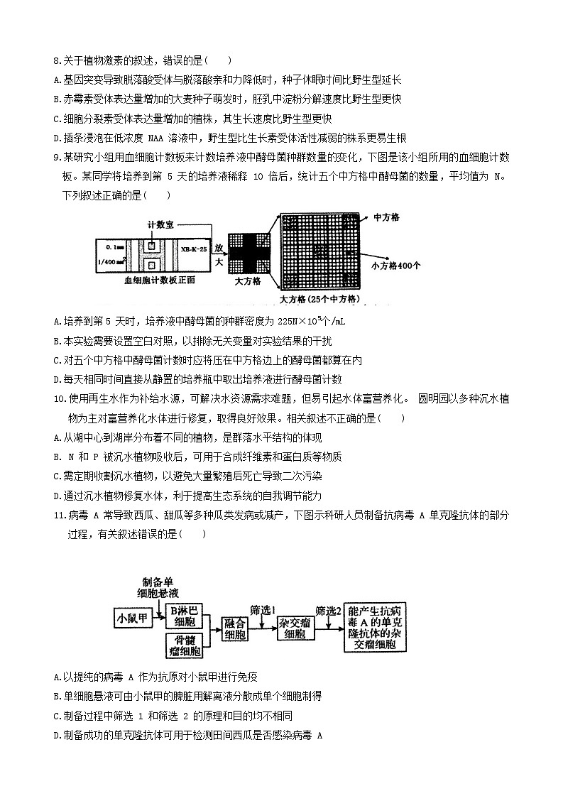 河北省石家庄市辛集市2023-2024学年高三上学期期末考试生物试题（Word版附答案）03