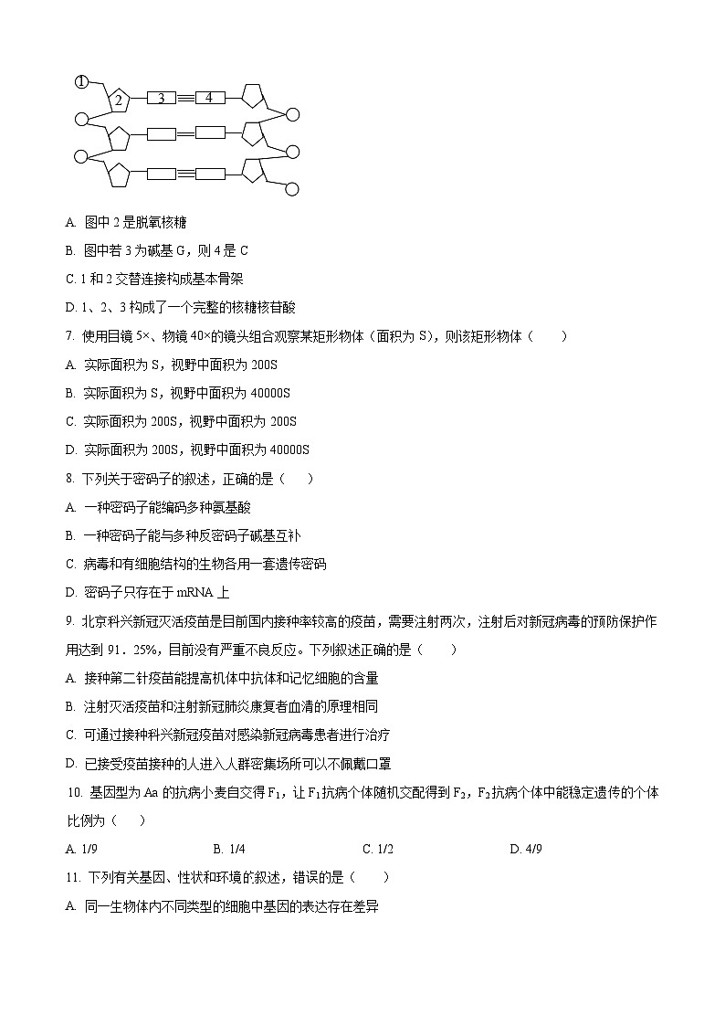 内蒙古自治区赤峰市红山区2023-2024学年高二上学期期末考试生物试题（Word版附解析）第2页