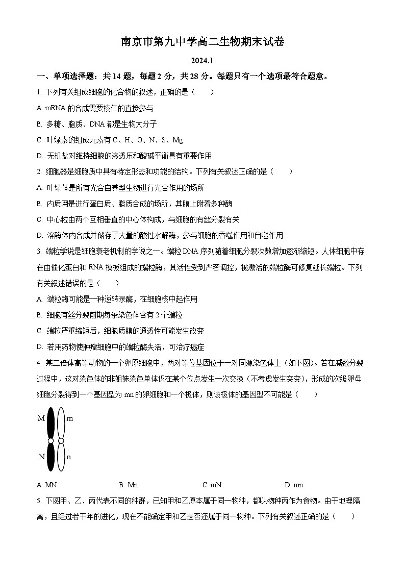 江苏省南京市第九中学2023-2024学年高二上学期期末考试生物试卷（Word版附解析）01