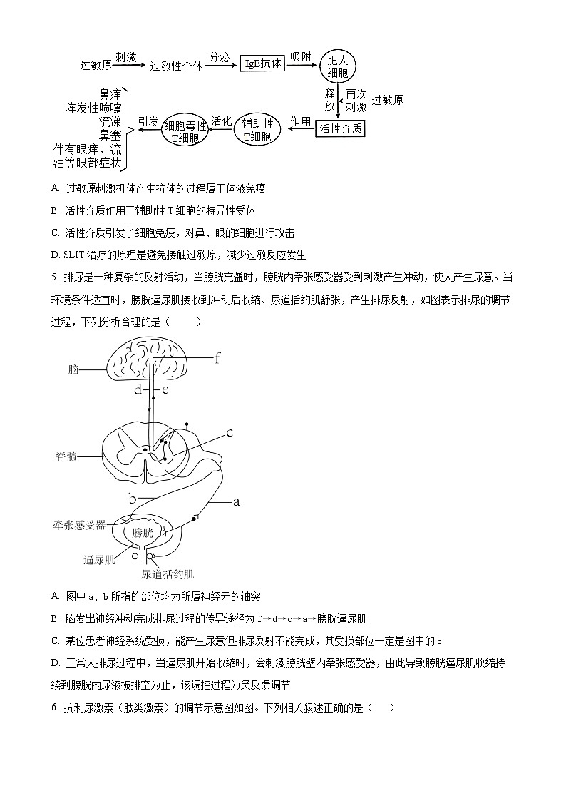 福建省福州一中2023-2024学年高二上学期期末生物试题（Word版附解析）02