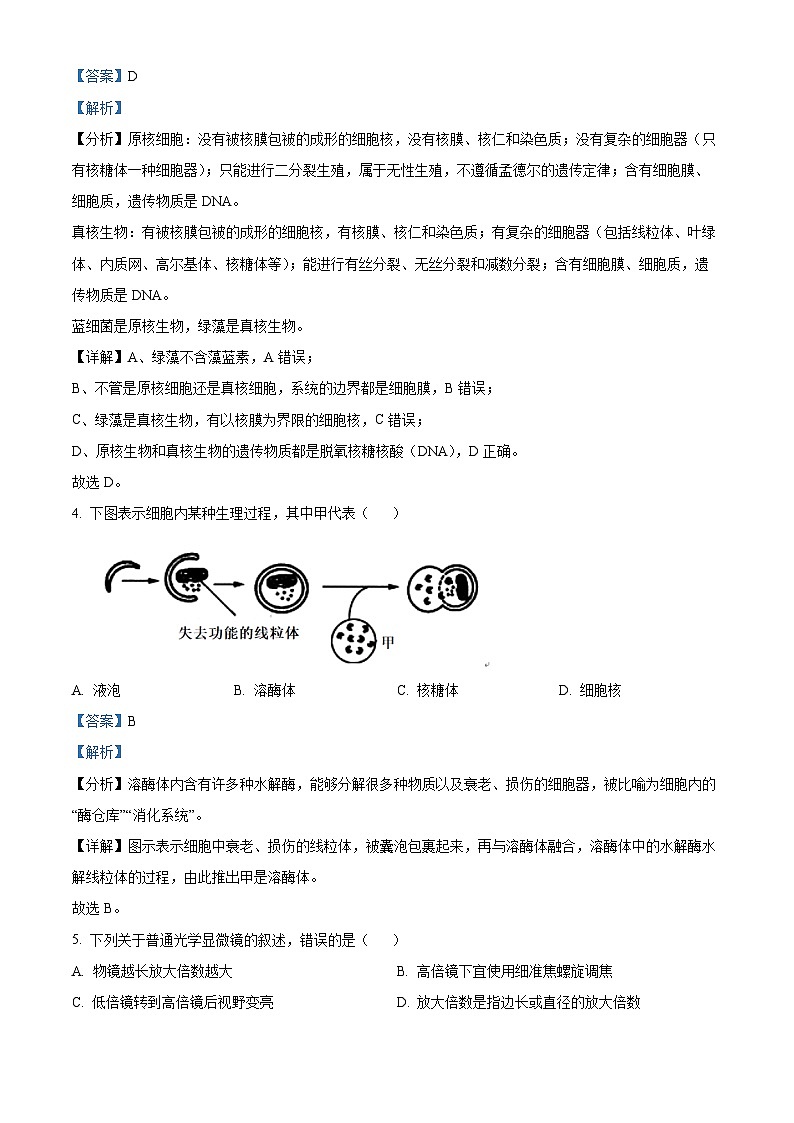 福建省莆田市2023-2024学年高一上学期期末生物试题（Word版附解析）02