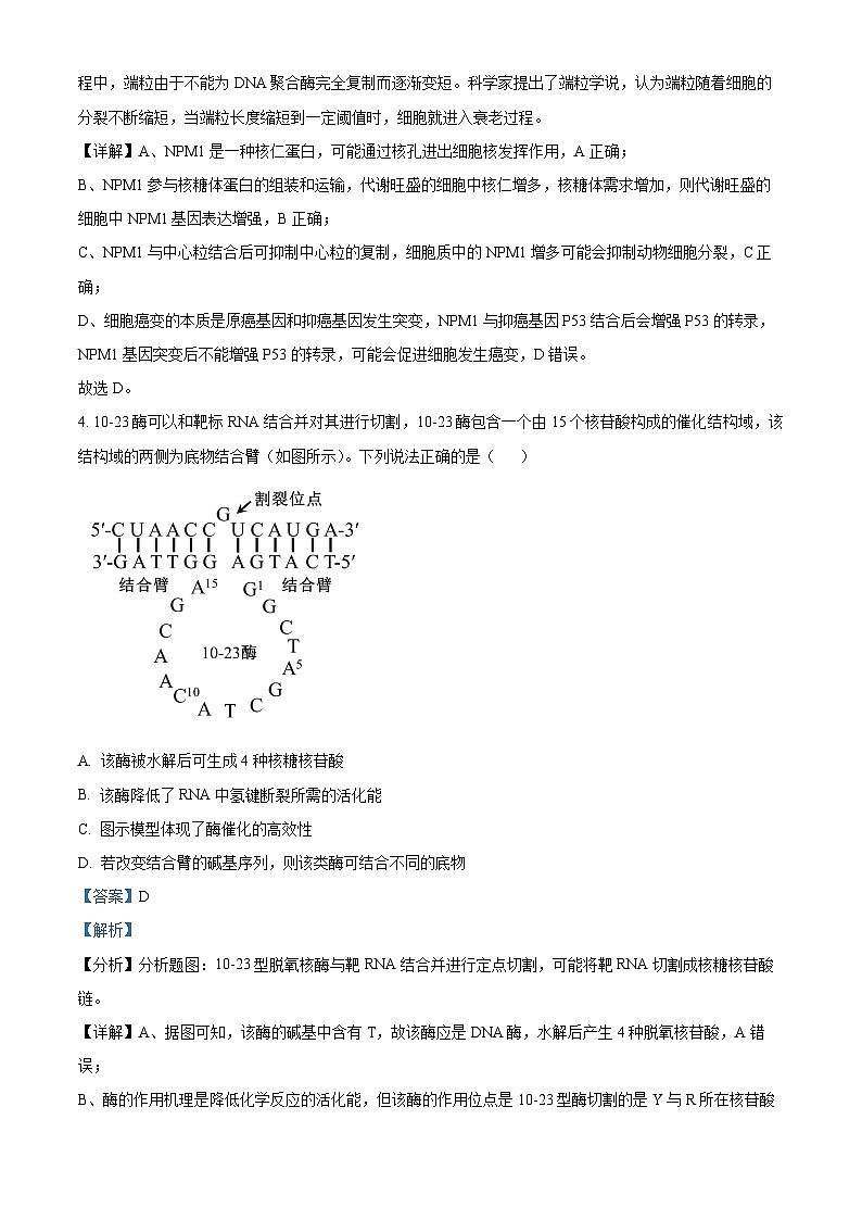 2024届福建省十一校高三1月期末联考生物试题（解析版）第3页