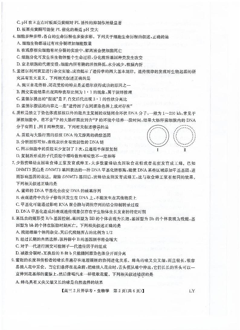 九师联盟2024届高三下学期2月开学考试生物试题及答案02
