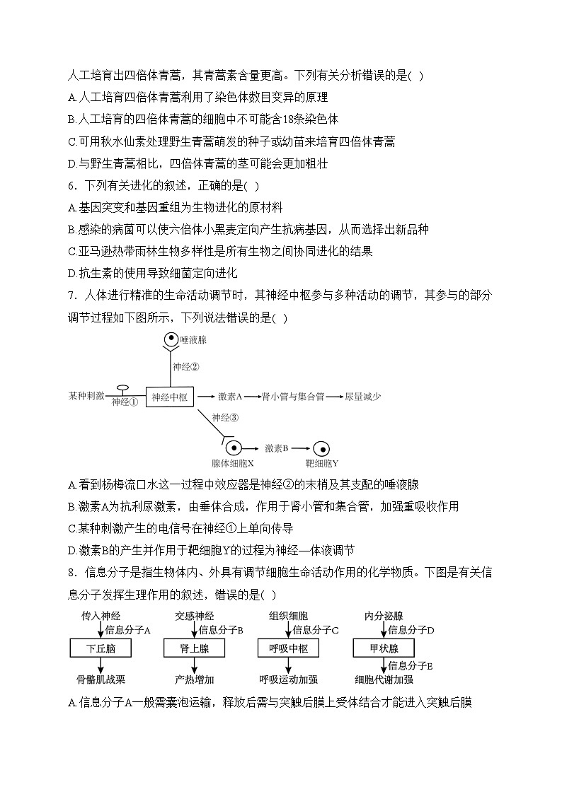 江西省上高二中2024届高三上学期第二次月考生物试卷(含答案)02