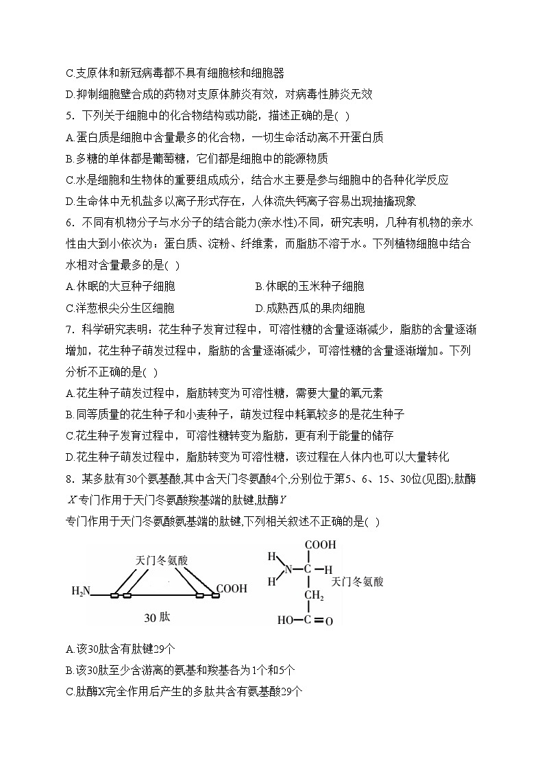 内蒙古自治区乌兰浩特第一中学2023-2024学年高一上学期第二次月考生物试卷(含答案)第2页