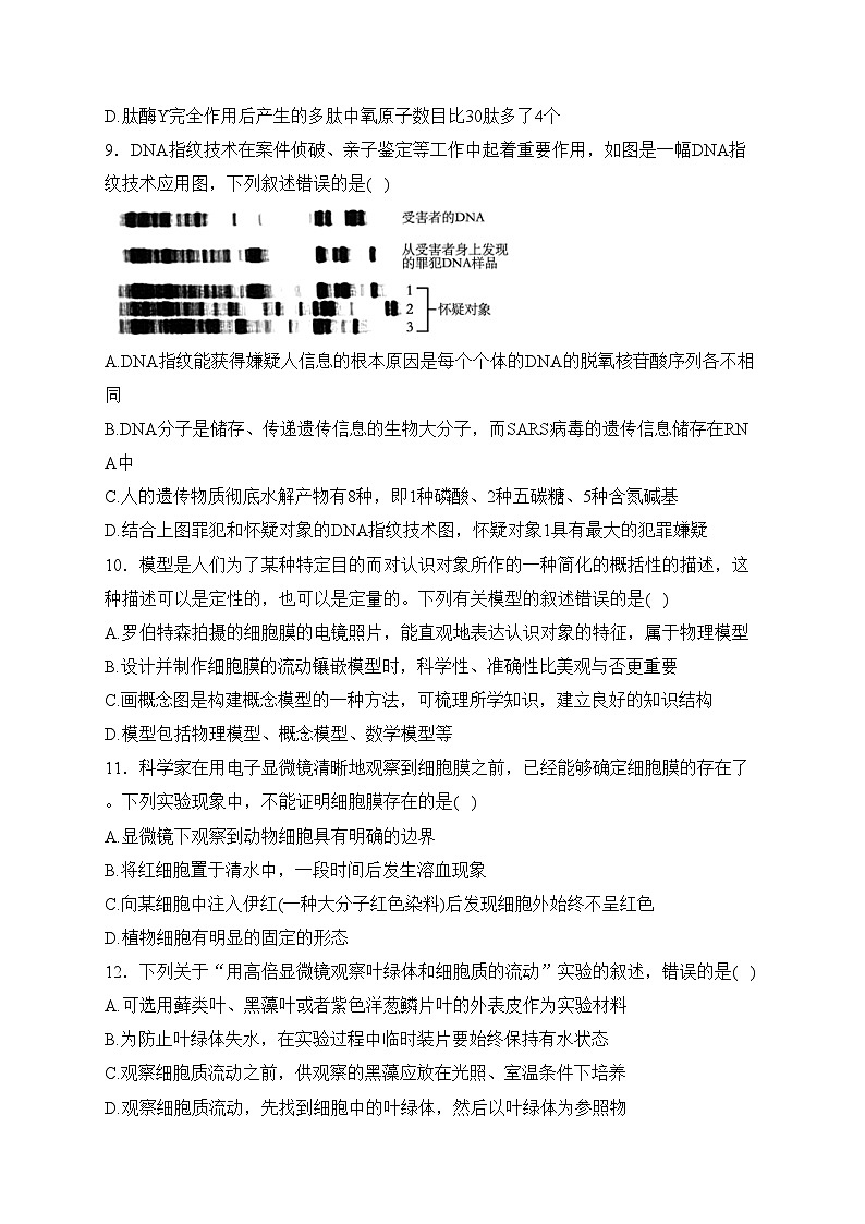内蒙古自治区乌兰浩特第一中学2023-2024学年高一上学期第二次月考生物试卷(含答案)第3页