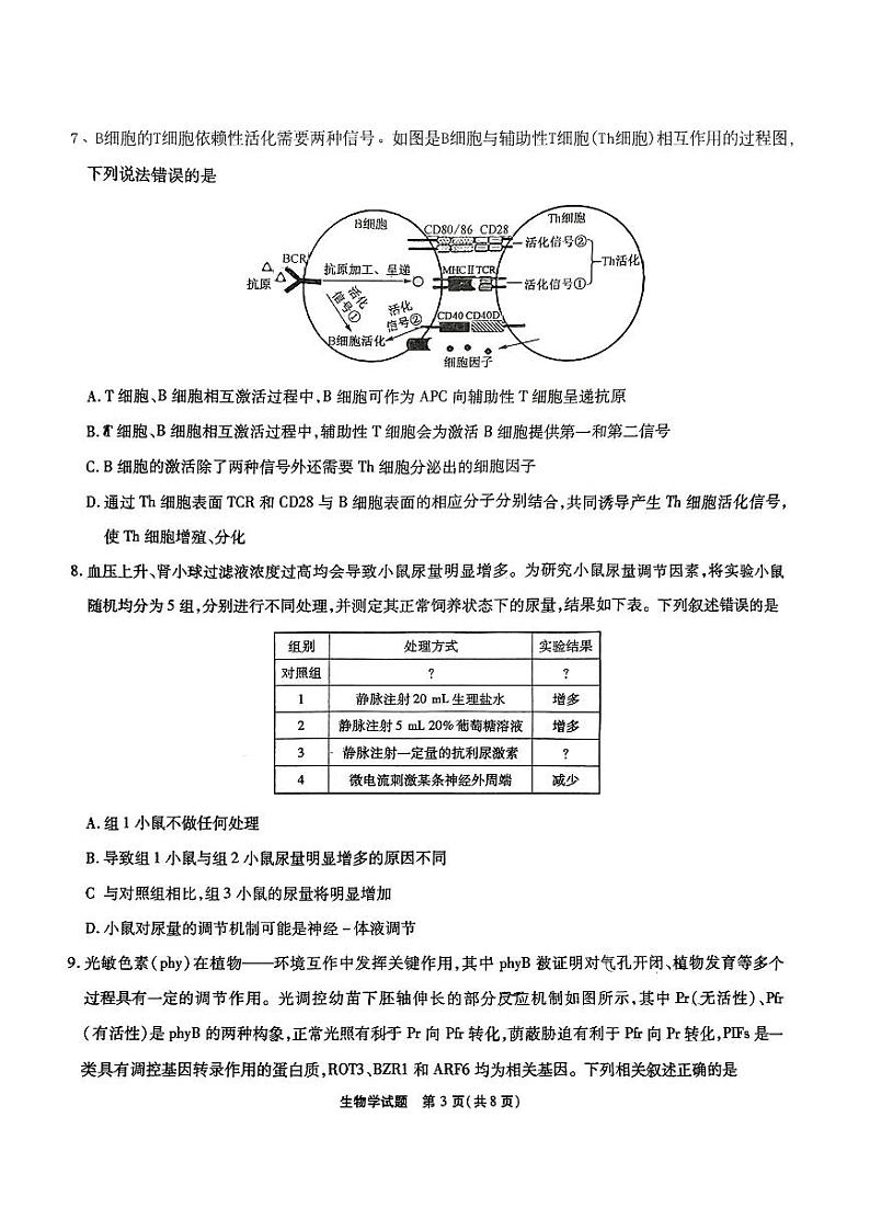 安徽省六校教育研究会2023-2024学年高三下学期2月联考生物试题第3页