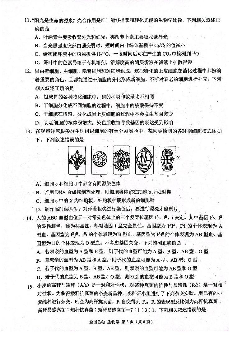 陕西省安康2023_2024高三生物上学期10月月考试题03
