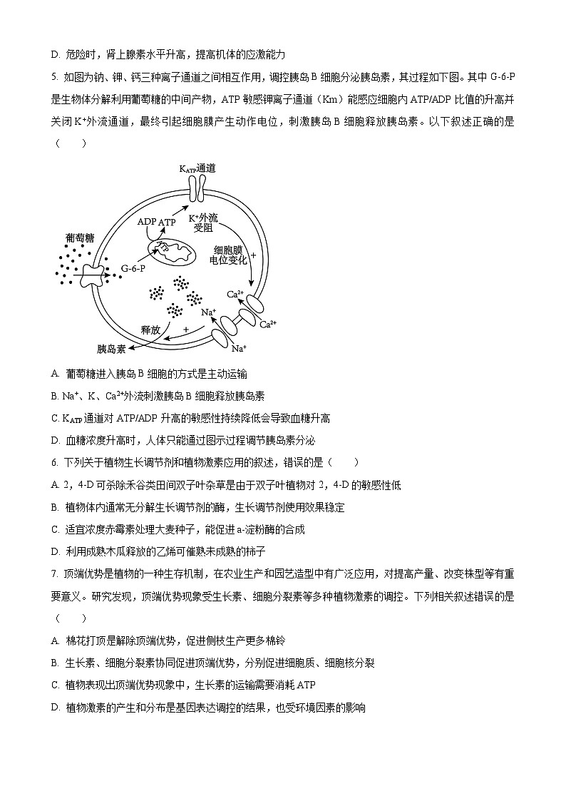 福建省宁德市2023-2024学年高二上学期期末质量检测生物试题（原卷版）第2页