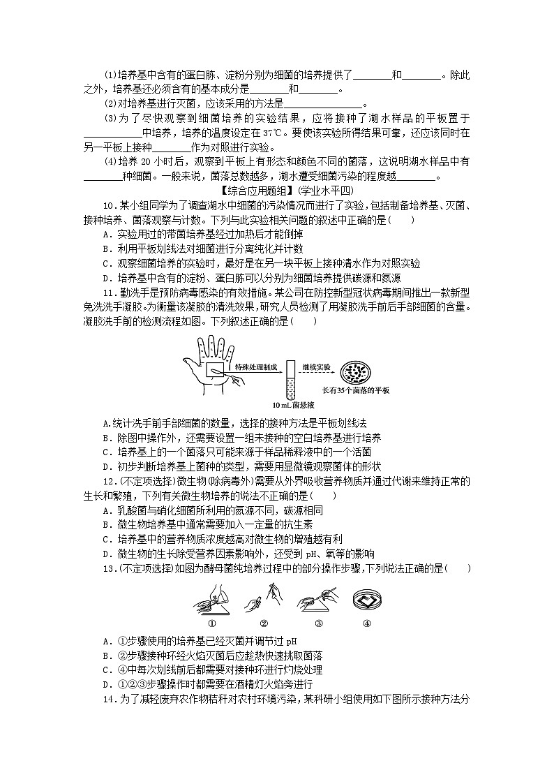 新教材2023版高中生物课后分层检测案2微生物的基本培养技术新人教版选择性必修302