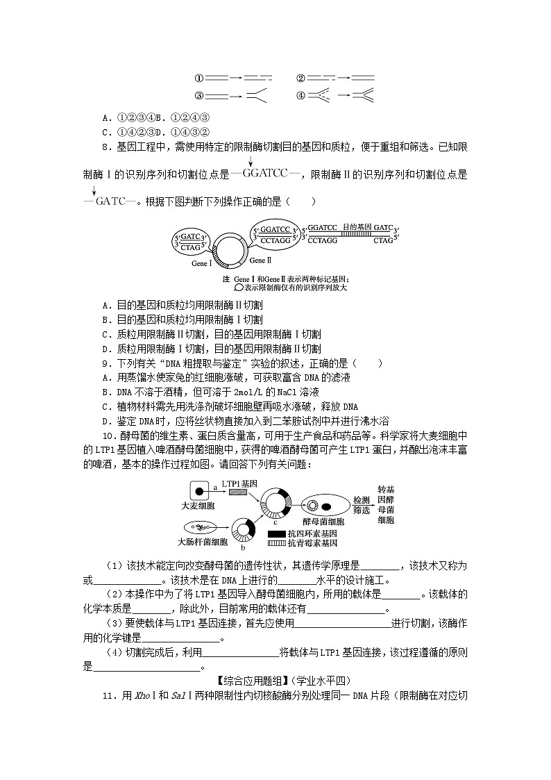 新教材2023版高中生物课后分层检测案12重组DNA技术的基本工具新人教版选择性必修302