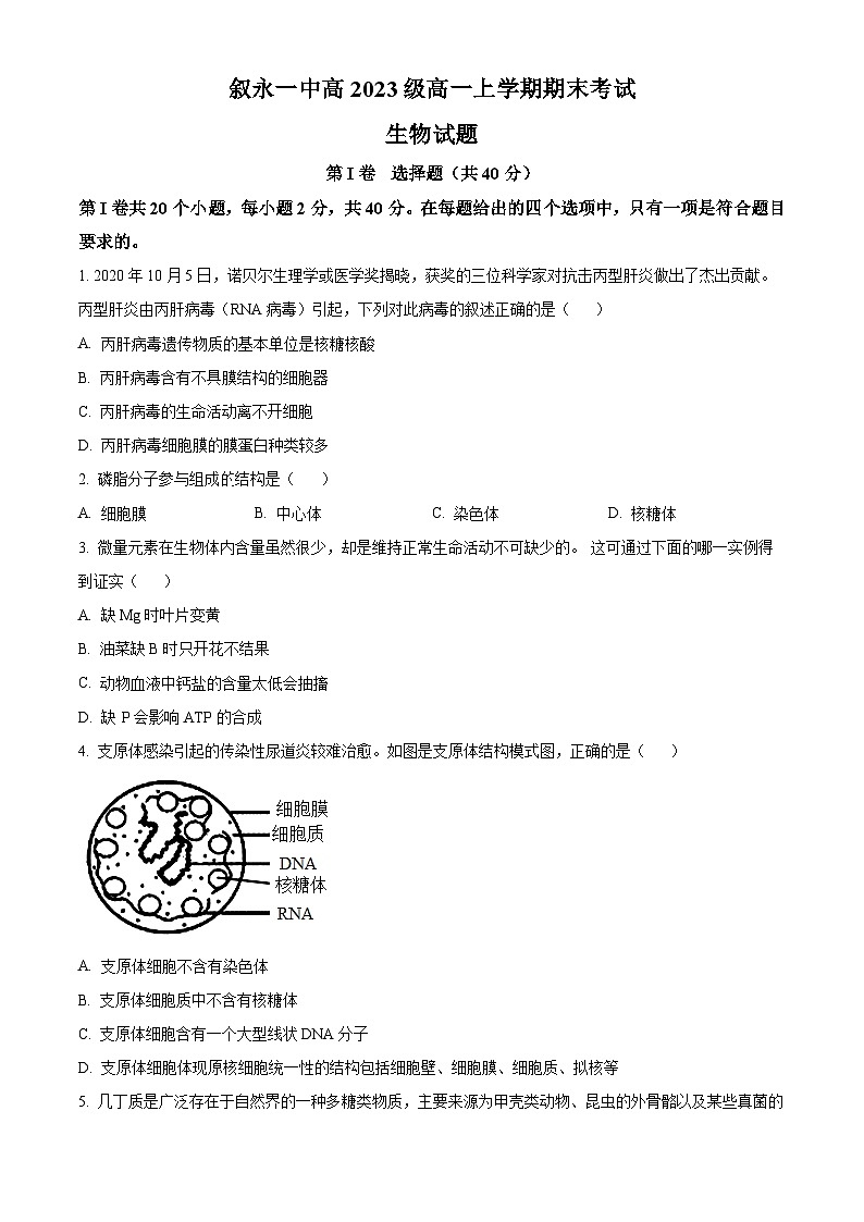 四川省叙永第一中学2023-2024学年高一上学期期末考试生物试卷（Word版附解析）01