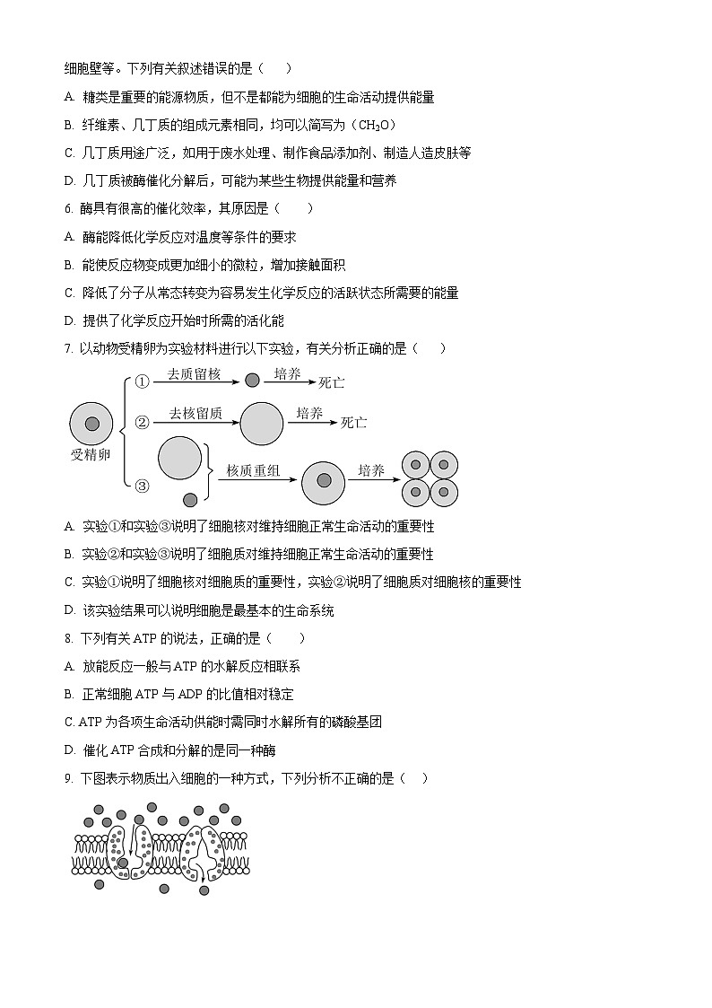 四川省叙永第一中学2023-2024学年高一上学期期末考试生物试卷（Word版附解析）02